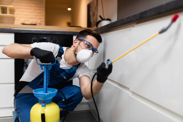 Best Termite Control Services  in Riesel, TX