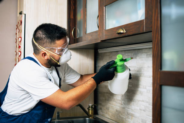 Reliable Riesel, TX Pest Control Solutions