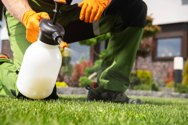 Best Pest Removal Services  in Riesel, TX
