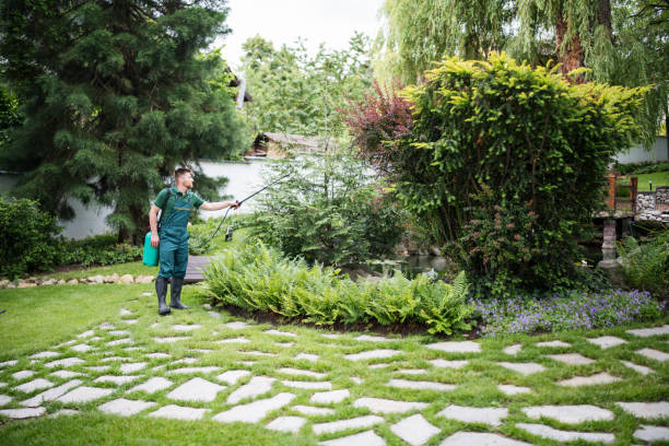 Best Best Pest Control Companies  in Riesel, TX