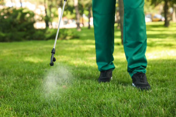 Wasp Removal Services in Riesel, TX