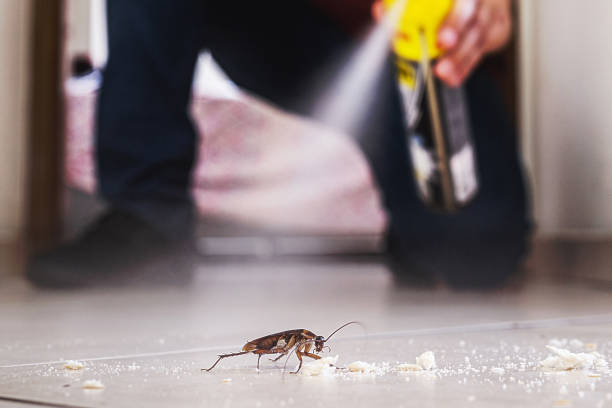 Best Rodent Control Near Me  in Riesel, TX