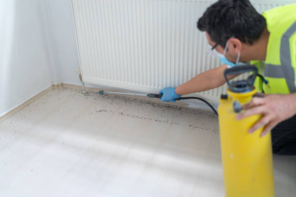 Best Affordable Pest Control Services  in Riesel, TX