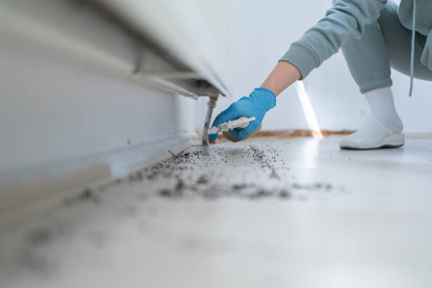 Best Exterminator Services  in Riesel, TX