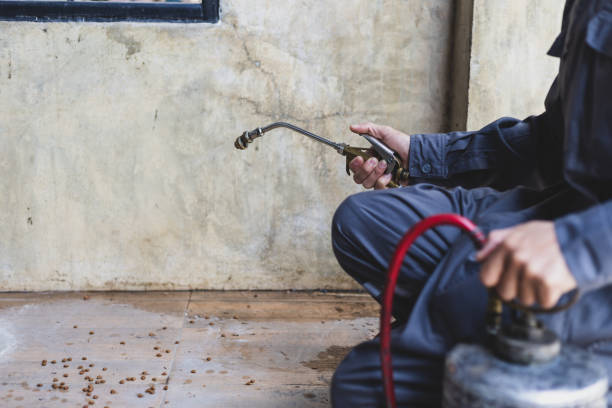 Best Local Pest Control Services  in Riesel, TX